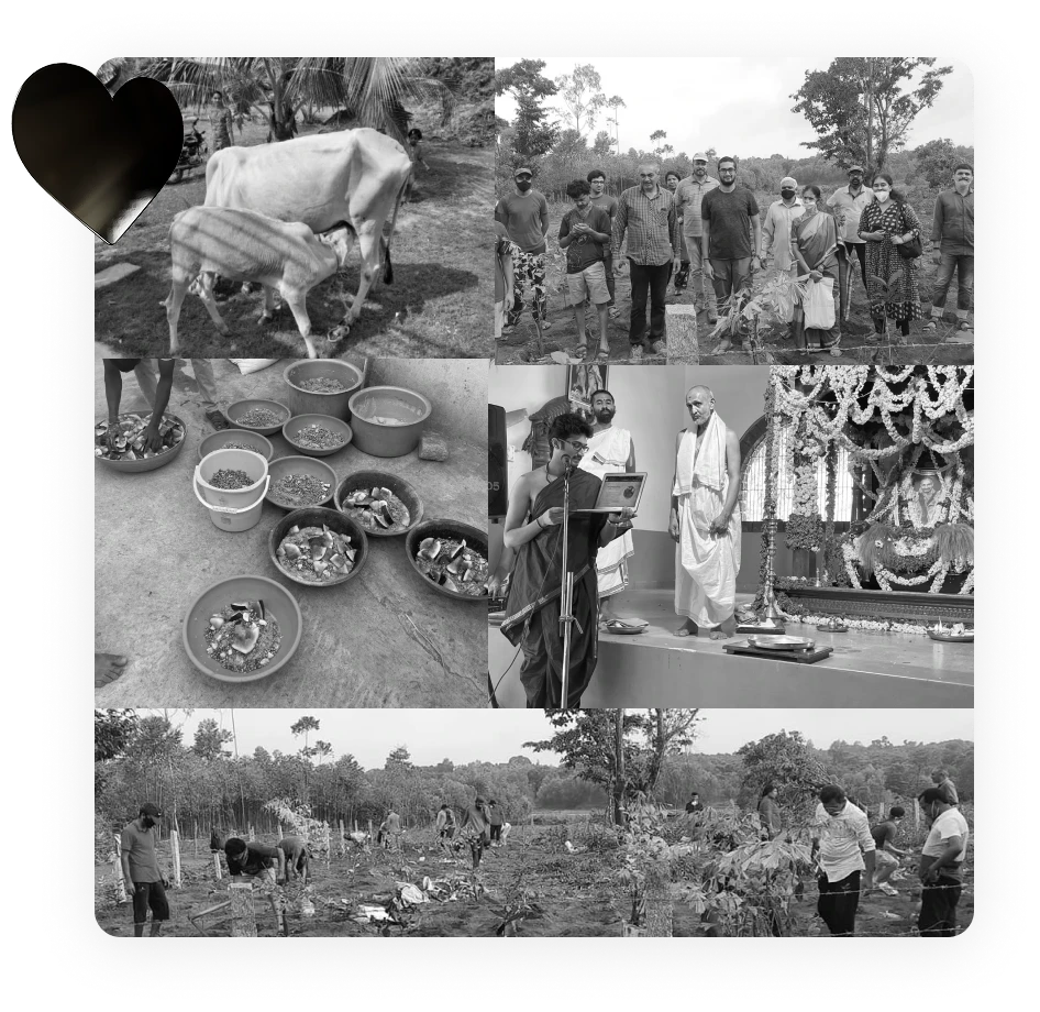 Image - Community development and social impact initiatives by NGOs